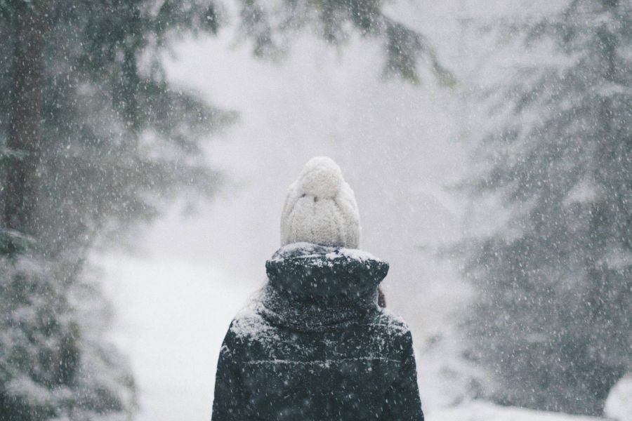 Person in winter coat and beanie standing on a snowy path in a snowy forest, facing away.