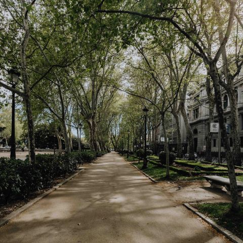 The Dorian quiet tree-lined street with Greenway