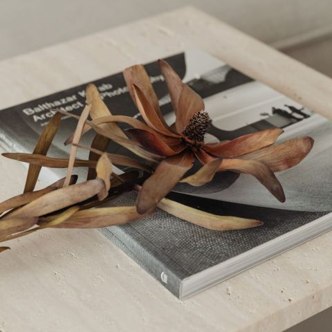 The Dorian Magazine and dried flowers on a stone coffee table
